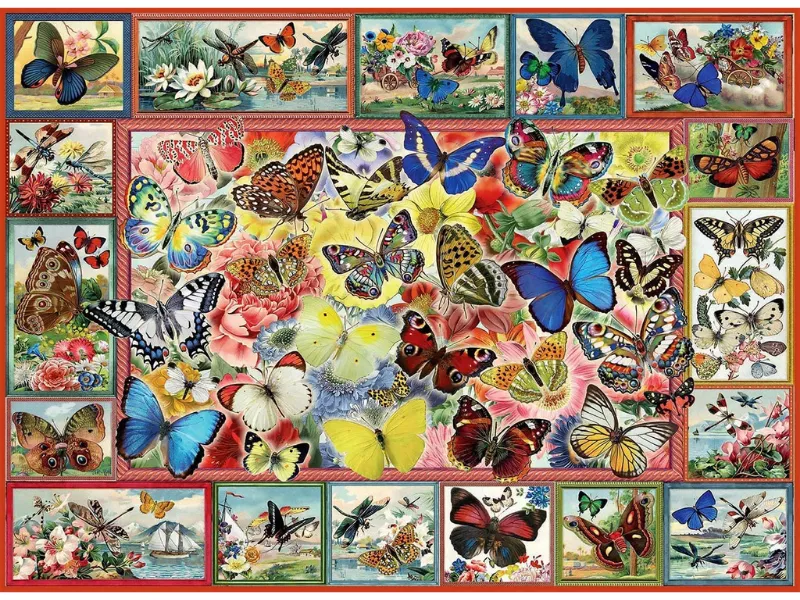 Lots of Butterflies